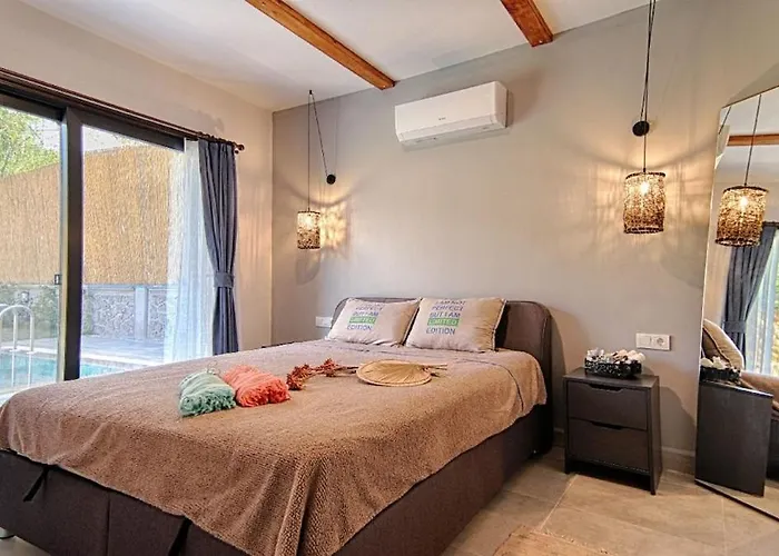Private Detached With Swimming Pool In Inlice, Villa *