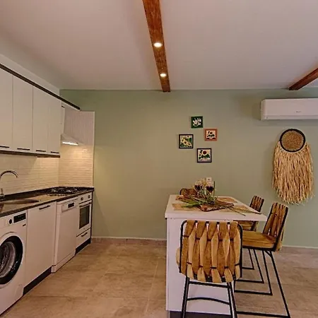 Private Detached With Swimming Pool In Inlice, *