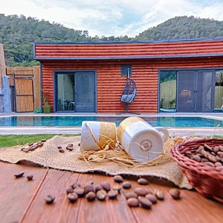 Private Detached With Swimming Pool In Inlice, * فتحية