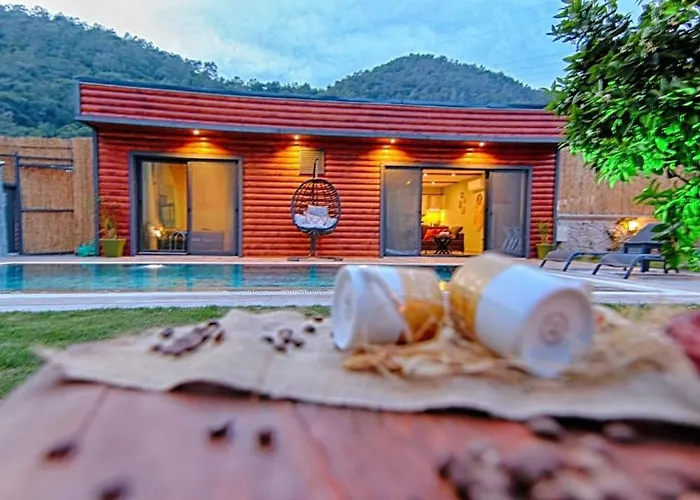 Private Detached With Swimming Pool In Inlice, *