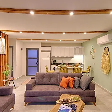 Private Detached With Swimming Pool In Inlice, Villa